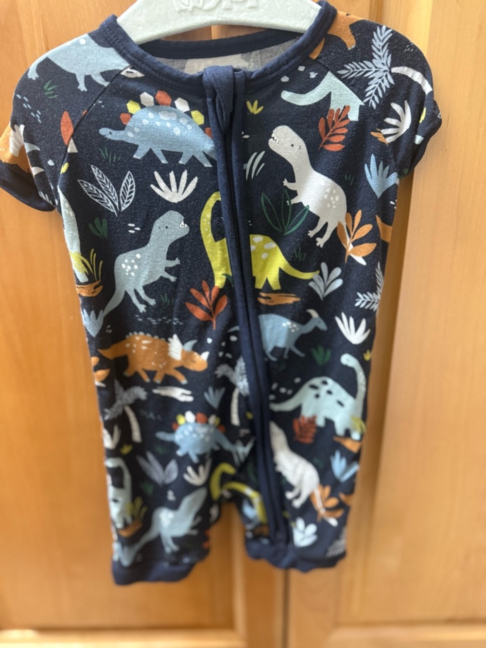 Dinosaur little sleepies shorty zippy